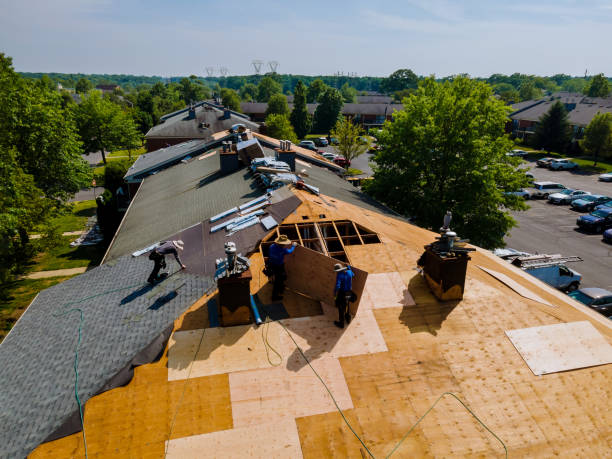 Quick and Trustworthy Emergency Roof Repair Services in American Falls, ID